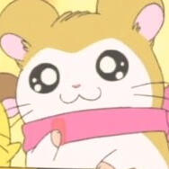 ✿ Pashmina (Hamtaro)